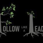 Follow like a leader