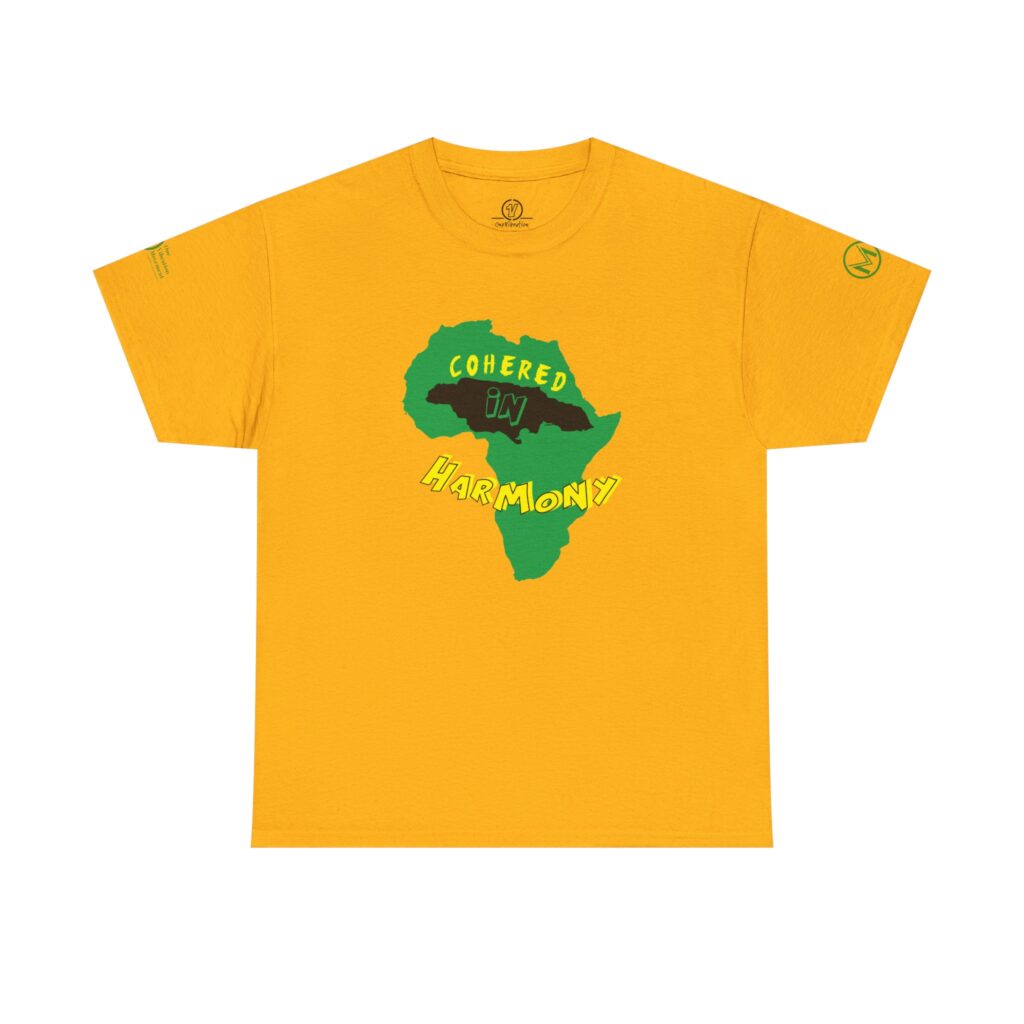 cohered in harmony t shirt — pan african unity tee