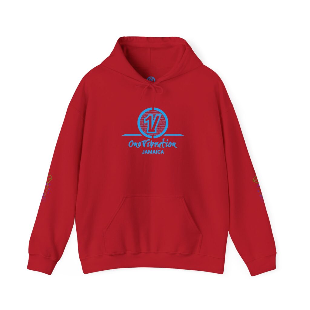 one vibration logo hoodie