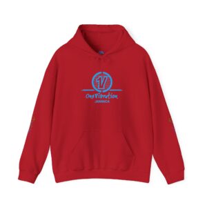 one vibration logo hoodie