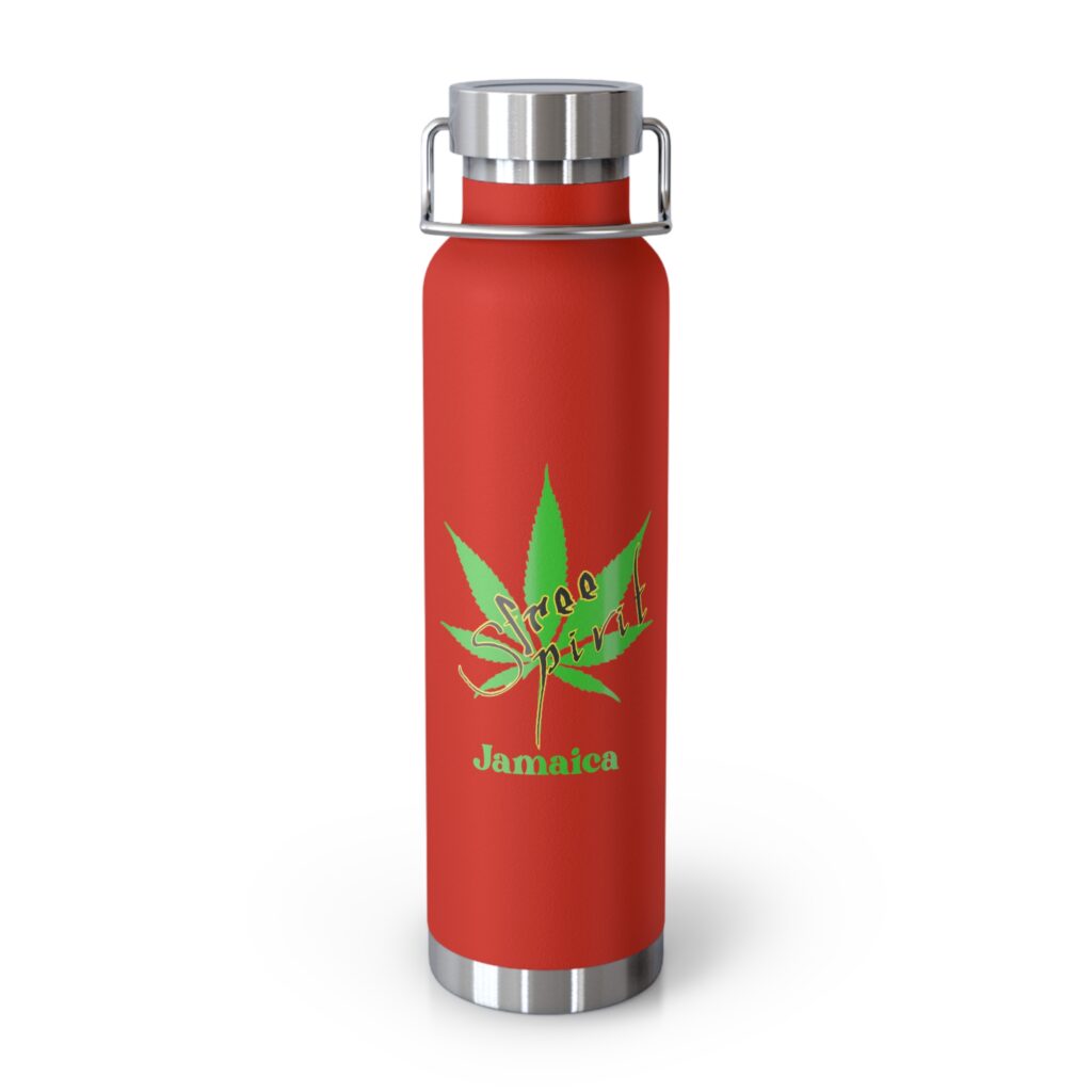 22oz vacuum bottle — free spirit insulated water bottle