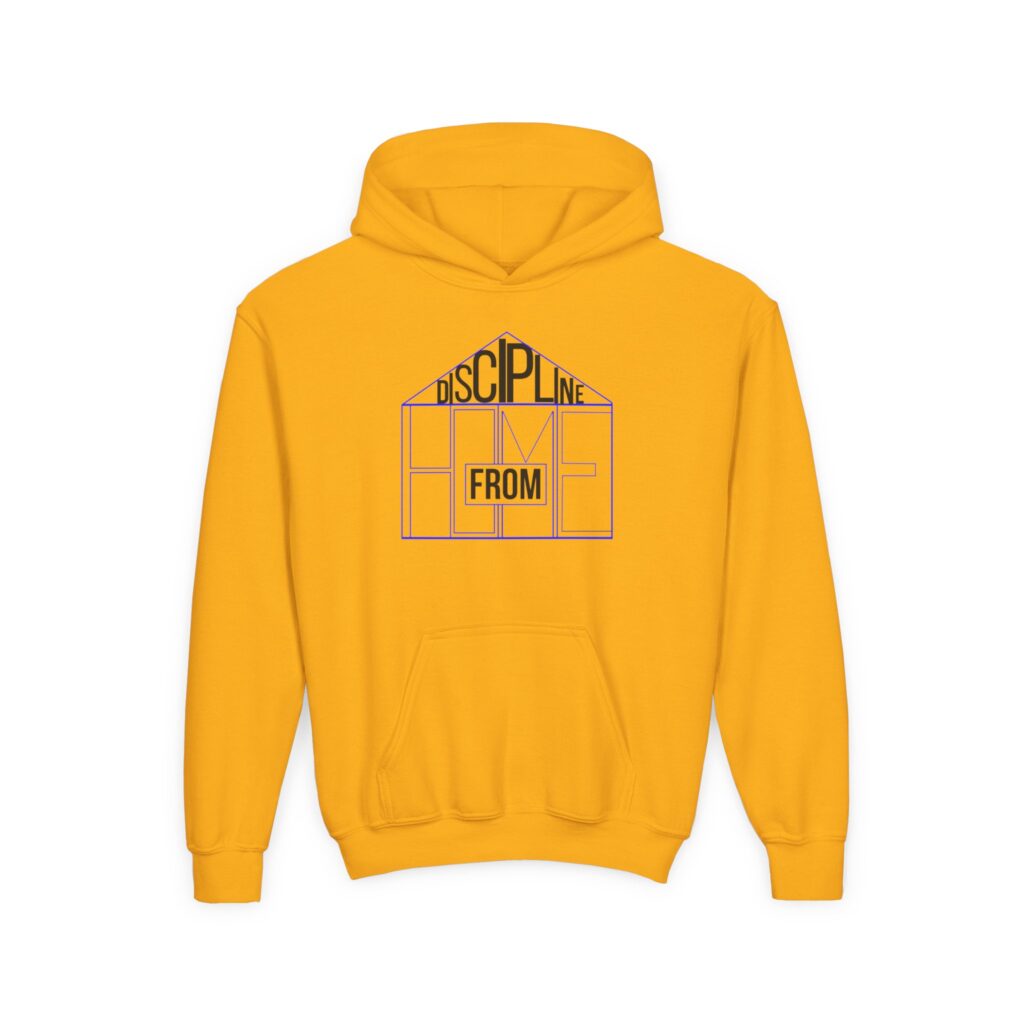 youth hoodie — “discipline from home” graphic from one vibration logo