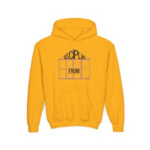 youth hoodie — “discipline from home” graphic from one vibration logo