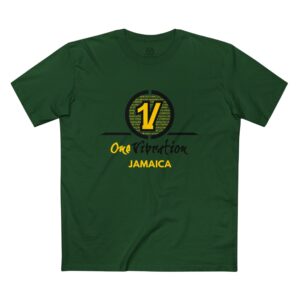 one vibration jamaica t shirt — reggae vibes tee